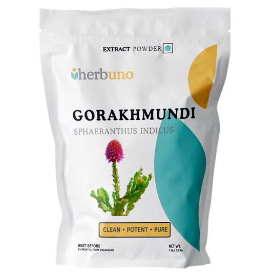 East Indian Globe Thistle (Gorakhmundi) Extract Powder - Herbuno.Com