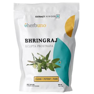 Eclipta prostrata (Bhringraj) Extract Powder | Kesharaja - Bulk Supplier India