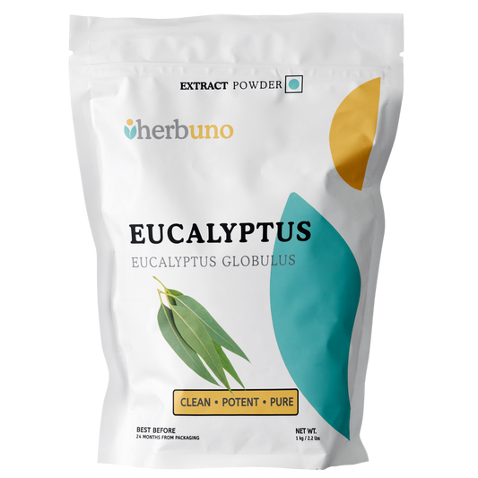 Eucalyptus Extract Powder - Eucalyptus globulus - Herbuno.Com