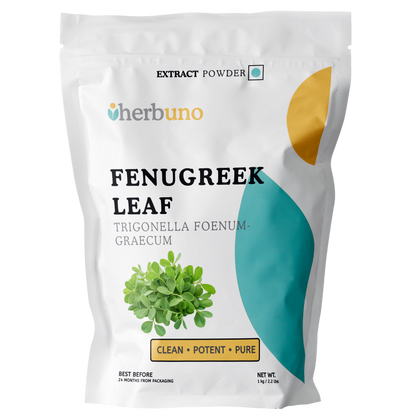 Fenugreek Leaf Extract Powder - Trigonella foenum-graecum - Herbuno.Com