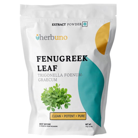 Fenugreek Leaf Extract Powder - Trigonella foenum-graecum - Herbuno.Com