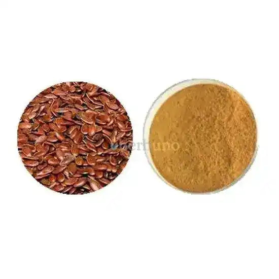 Flax Seed Extract Powder - Linum Usitatissimum - Herbuno.Com