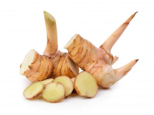 Galangal Root Liquid Extract (Water Soluble) - Alpinia galanga - Herbuno.Com