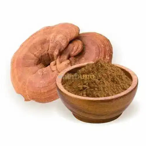 Ganoderma Lucidum Reishi Extract Powder - Herbuno.Com