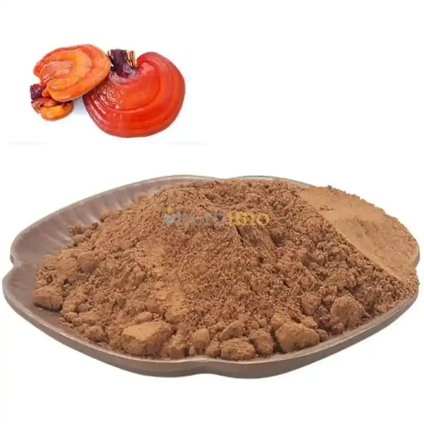 Ganoderma Lucidum Reishi Extract Powder - Herbuno.Com