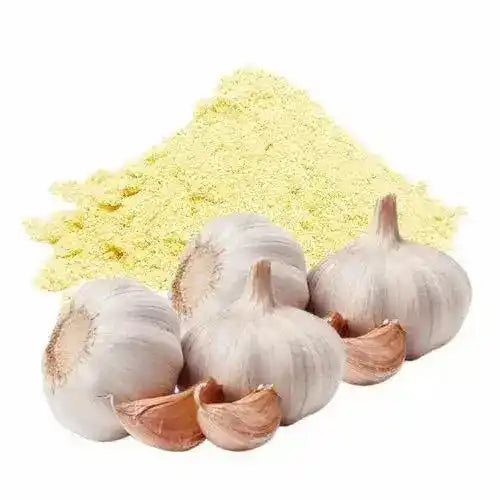 Garlic Extract Powder - Allium Sativum - Herbuno.Com
