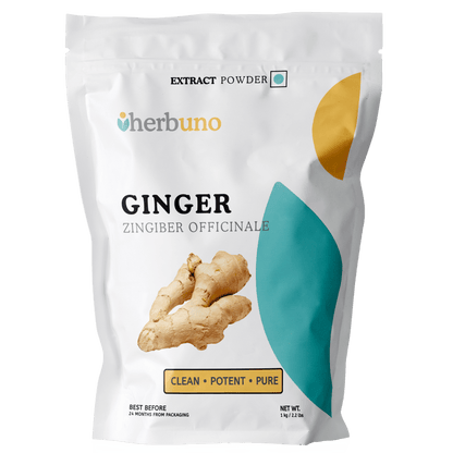 Ginger Extract Powder - Zingiber officinale  - Bulk Supplier India  - shop_name