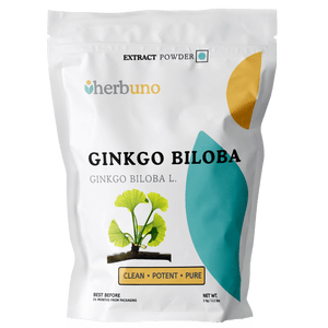 Ginkgo Biloba Extract Powder - Bulk Supplier India
