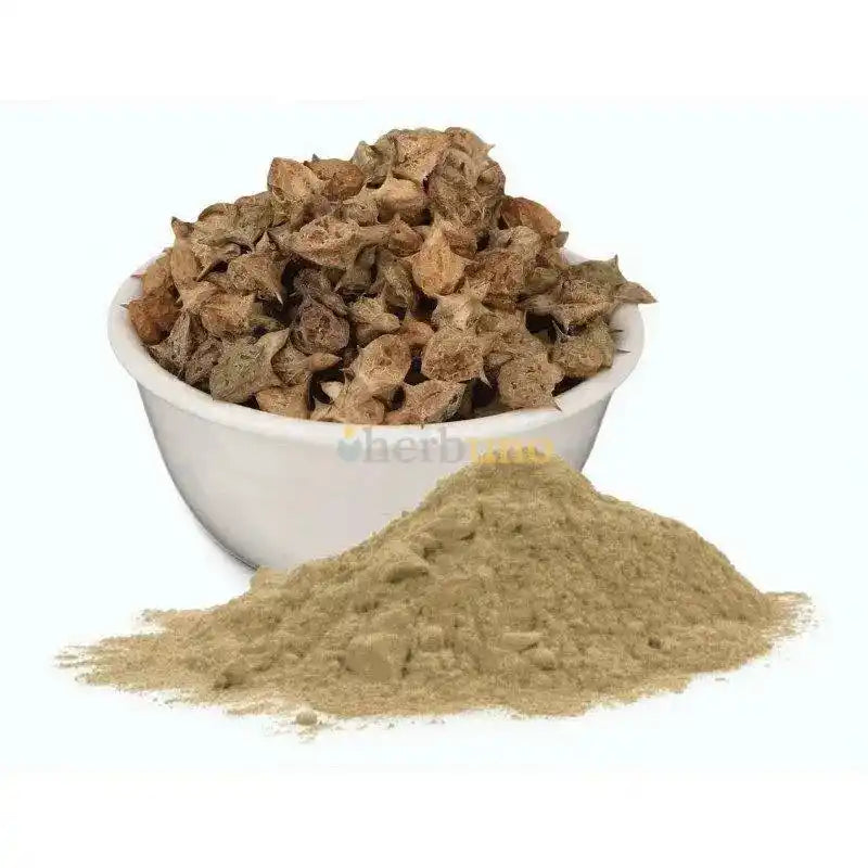 Gokshura Extract Powder - Tribulus Terrestris - Herbuno.Com