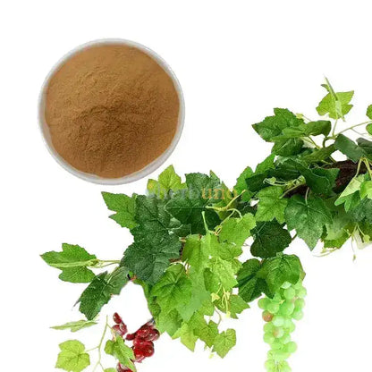 Grape Leaf Extract Powder - Herbuno.Com