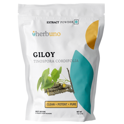 Guduchi (Giloy) Extract Powder - Herbuno.Com