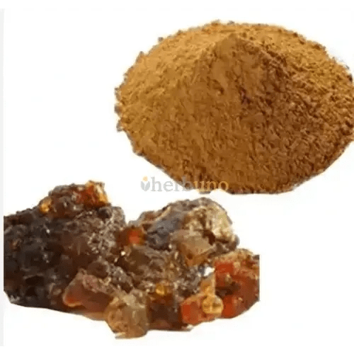 Guggul Extract Powder - Commiphora wightii  - Bulk Supplier India  - shop_name