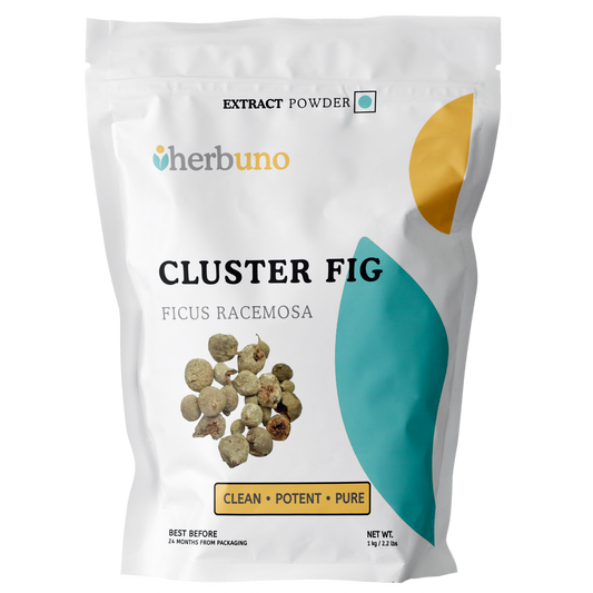 Gular Extract Powder - Ficus racemosa - Herbuno.Com