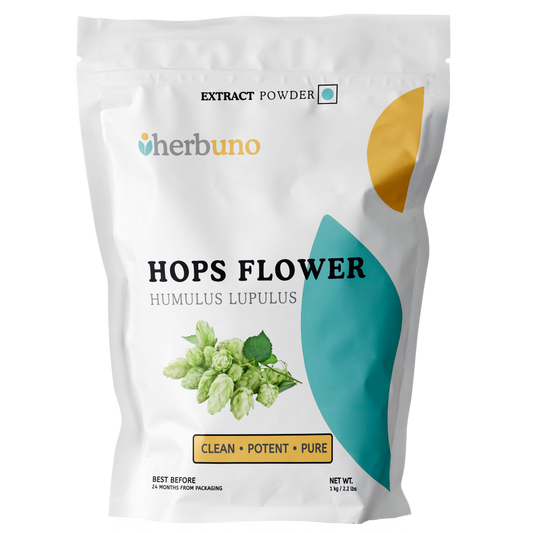 Hops Flower Extract Powder - Humulus lupulus - Herbuno.Com