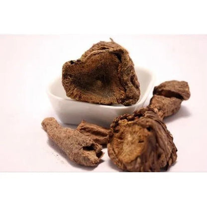 India Rhubarb Liquid Extract (Water Soluble) - Rheum emodi  - Bulk Supplier India  - shop_name