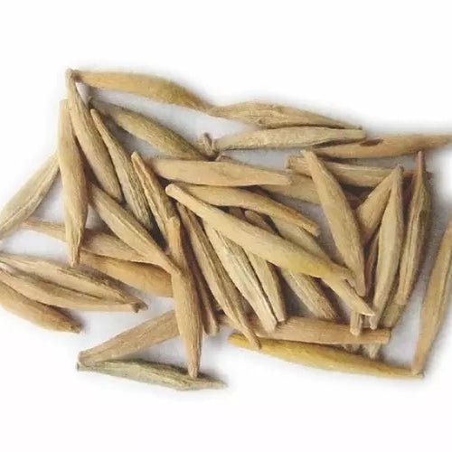 Indrajav Liquid Extract (Water Soluble) - Holarrhena pubescens  - Bulk Supplier India  - shop_name