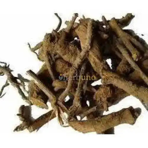 Inula racemosa (Pushkarmool) Extract Powder - Herbuno.Com