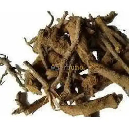 Inula racemosa (Pushkarmool) Extract Powder - Herbuno.Com