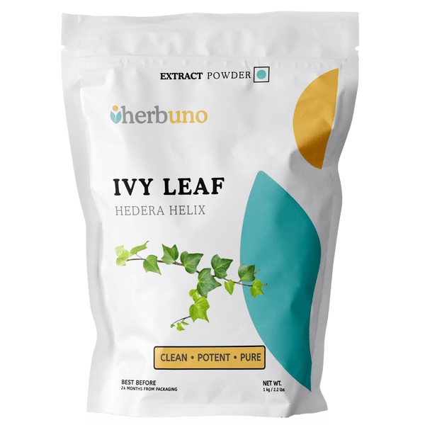 Ivy Leaf Extract Powder | Bulk Indian Wholesalers