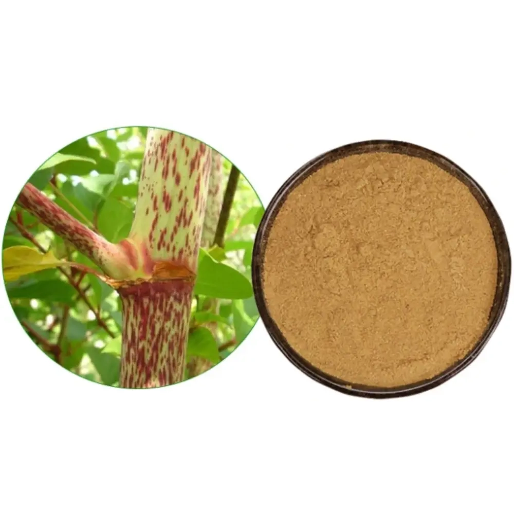 Japanese Knotweed Extract Powder - Herbuno.Com
