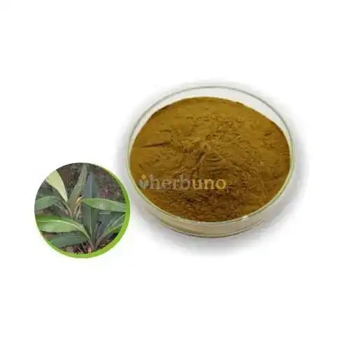 Kacip Fatimah Leaf Extract Powder  - Bulk Supplier India  - shop_name