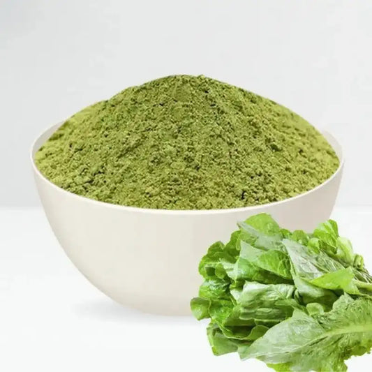 Lettuce Powder - Nutrient-Rich Green - Herbuno.Com