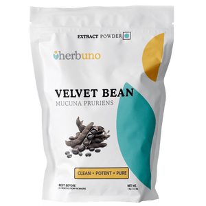 Mucuna Pruriens (Velvet Bean) Extract Powder | Kaunch Beej - Bulk Supplier India