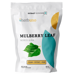 Mulberry Leaf Extract Powder | Shahtoot Patta Powder - Bulk Supplier India