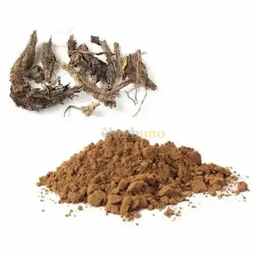 Nardostachys Jatamansi Extract Powder - Herbuno.Com