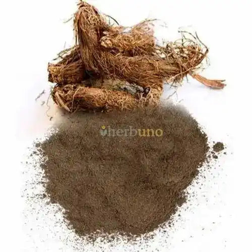 Nardostachys Jatamansi Extract Powder - Herbuno.Com