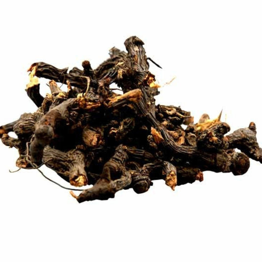 Nutgrass Root Liquid Extract (Water Soluble) - Cyperus scariosus - Herbuno.Com
