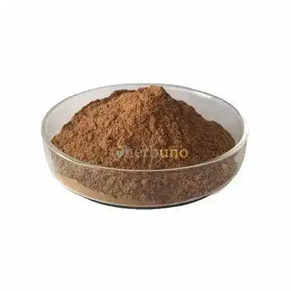 Oenothera Biennis (Evening Primrose) Extract Powder - Herbuno.Com