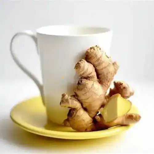 Organic Ginger (Zingiber officinale) Root Powder - Herbuno.Com