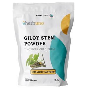 Organic Guduchi / Giloy (Tinospora cordifolia) Powder | Giloy Powder - Bulk Supplier India