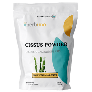 Organic Hadjod / Harjor Stem Powder - Cissus quadrangularis - Bulk Supplier India