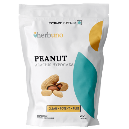 Peanut Extract Powder - Arachis hypogaea  - Bulk Supplier India  - shop_name