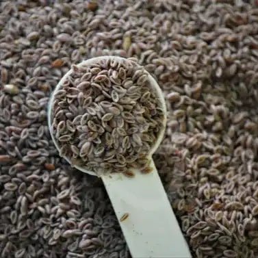 Psyllium (Ispaghula) Seed Husk Powder  - Bulk Supplier India  - shop_name