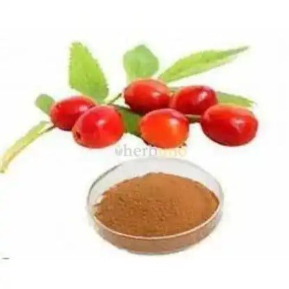 Rosa Canina (Rose Hip) Extract Powder - Herbuno.Com