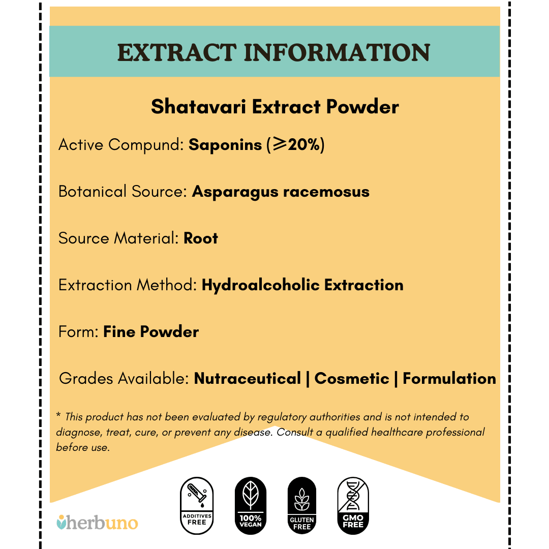 Shatavari Extract (20% saponins) Powder  - Bulk Supplier India  - shop_name