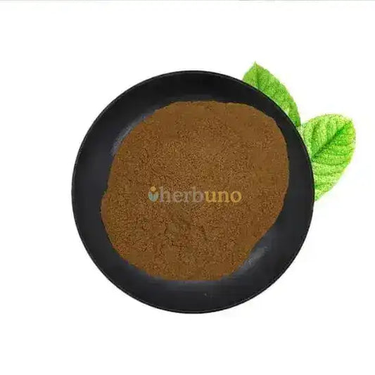 Solanum nigrum (Makoi / Black Nightshade) Extract Powder - Herbuno.Com