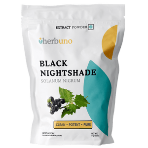Solanum nigrum (Makoi / Black Nightshade) Extract Powder - Bulk Supplier India