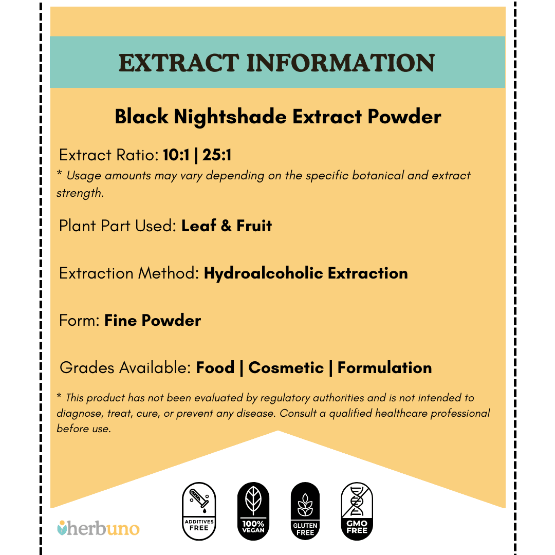 Solanum nigrum (Makoi / Black Nightshade) Extract Powder  - Bulk Supplier India  - shop_name