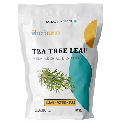 Tea Tree Extract Powder - Melaleuca alternifolia  - Bulk Supplier India  - shop_name