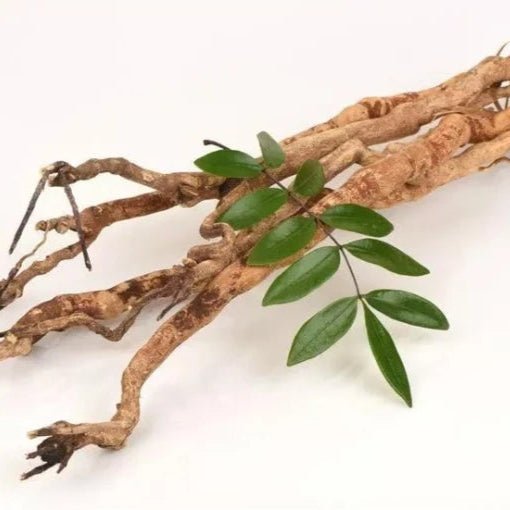 Tongkat Ali Extract Powder - Eurycoma longifolia - Herbuno.Com