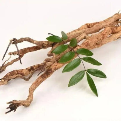 Tongkat Ali Extract Powder - Eurycoma longifolia - Herbuno.Com