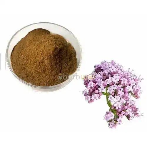 Valerian Root Extract Powder  - Bulk Supplier India  - shop_name