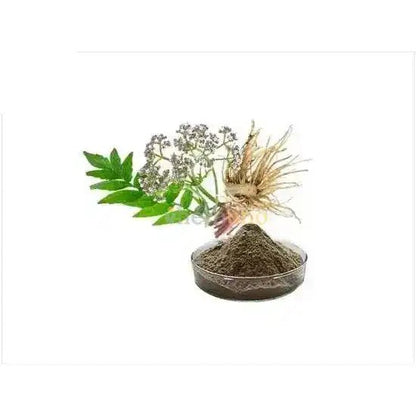Valerian Root Extract Powder  - Bulk Supplier India  - shop_name
