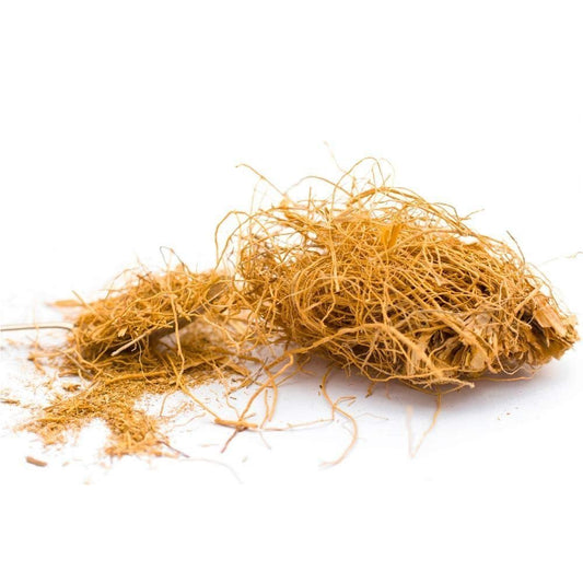 Vetiver Liquid Extract (Water Soluble) - Chrysopogon zizanioides - Herbuno.Com