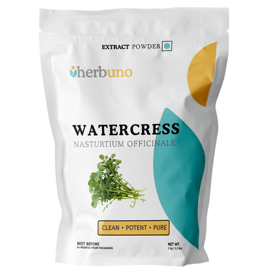 Watercress Extract Powder (Nasturtium officinale) - Herbuno.Com