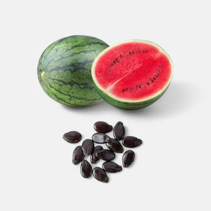 Watermelon Seed Liquid Extract (Water Soluble) - Citrullus lanatus  - Bulk Supplier India  - shop_name